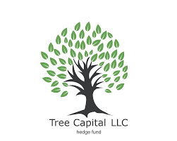Tree Capital: обзор компании, доступный хедж-фонд, отзывы клиентов Tree Capital: обзор компании, доступный хедж-фонд, отзывы клиентов : https://stablereviewer.com