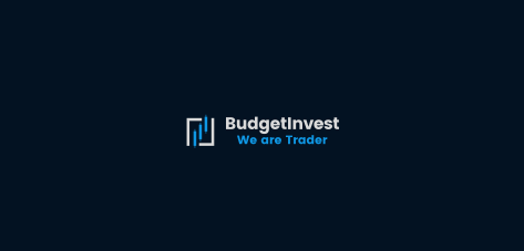 Брокер Budget Invest (Баджет Инвест) - обзор лохотрона, честные отзывы, разоблачение афериста | Stablereviews Брокер Budget Invest (Баджет Инвест) - обзор лохотрона, честные отзывы, разоблачение афериста | Stablereviews : https://stablereviewer.com