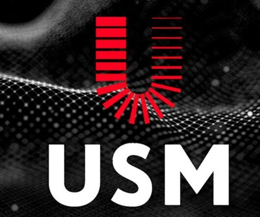 Финансовая пирамида USM Group (УСМ Групп) – обзор мошенника, отзывы инвесторов о разводе на деньги Финансовая пирамида USM Group (УСМ Групп) – обзор мошенника, отзывы инвесторов о разводе на деньги : https://stablereviewer.com