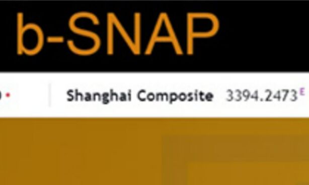 Брокер B-SNAP trade (Б Снап Трейд) – отзывы о сайте, обзор мошенника, развод на деньги | Stablereviews Брокер B-SNAP trade (Б Снап Трейд) – отзывы о сайте, обзор мошенника, развод на деньги | Stablereviews : https://stablereviewer.com