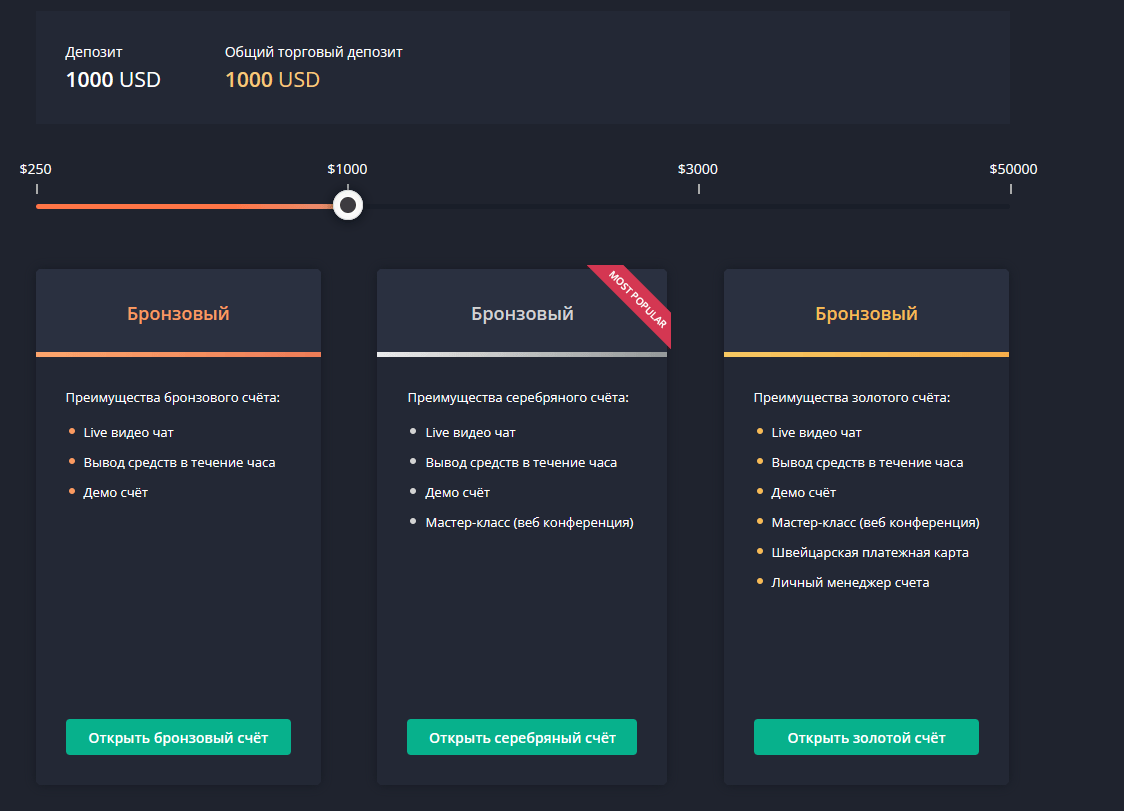 Binarymate обзор 3