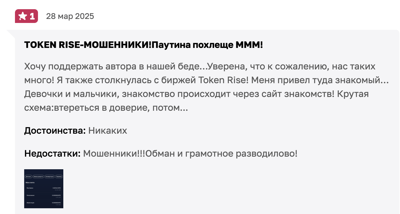 жалобы Token Rise