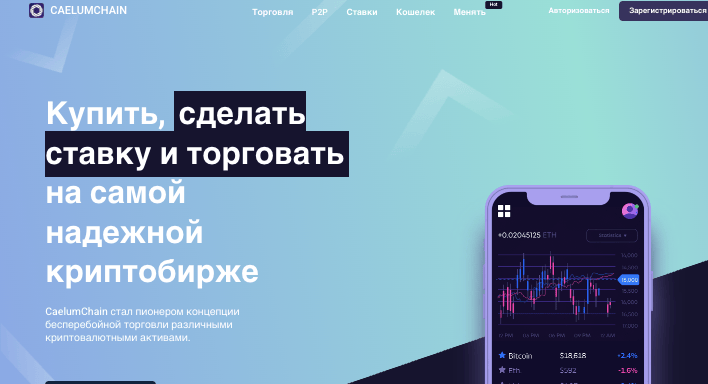 информация о Caelumchain