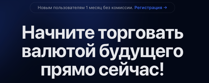 обзор на ZORPEX