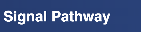 Signal Pathway (future-trade.site) — обзор проекта и честные отзывы | StableReviews : https://stablereviewer.com
