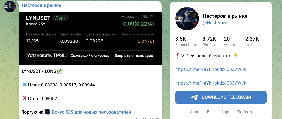 информация о Нестеров в рынке