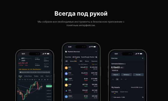 что известно? PayX