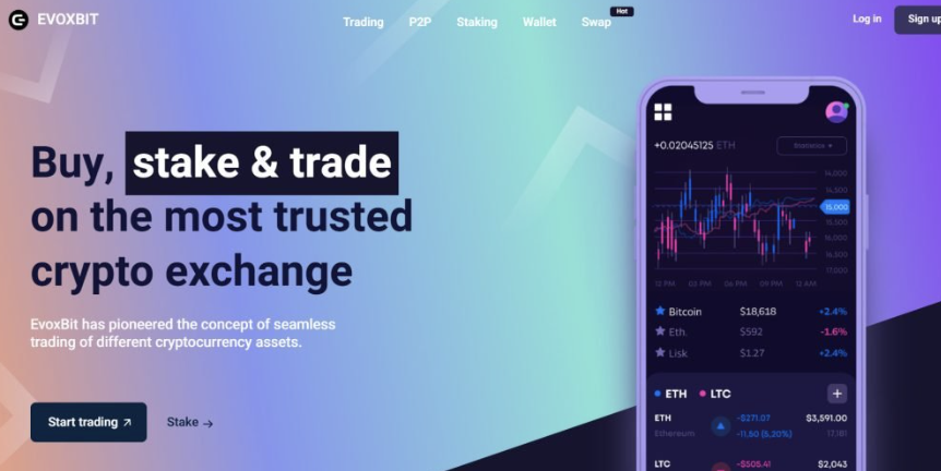 обзор на Evoxbit