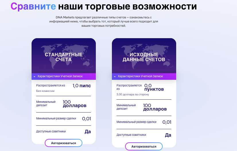 информация о DNA Markets